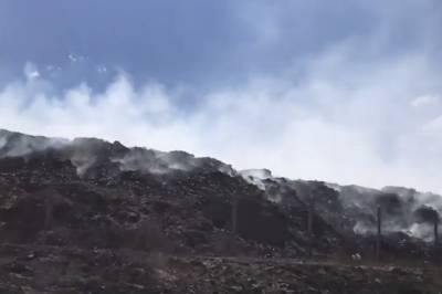 Из-за лесных пожаров в Луганской области загорелась свалка в Северодонецке