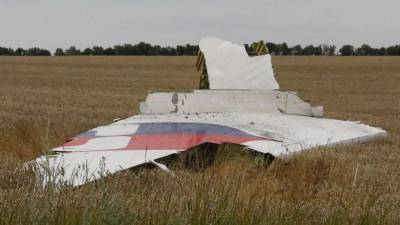 Нидерланды подадут иск против России в ЕСПЧ из-за гибели рейса MH-17