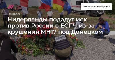 Нидерланды подадут иск против России в ЕСПЧ из-за крушения МН17 под Донецком