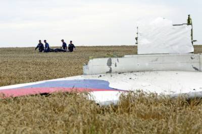 Нидерланды подают против России иск в ЕСПЧ из-за катастрофы самолета MH17