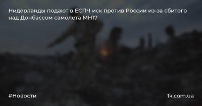 Нидерланды подают в ЕСПЧ иск против России из-за сбитого над Донбассом самолета MH17