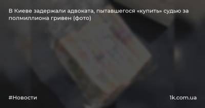 В Киеве задержали адвоката, пытавшегося «купить» судью за полмиллиона гривен (фото)