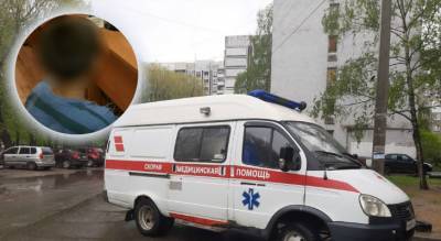 Из рваной раны струилась кровь: расгвардеец спас маленького ребенка в Ярославле