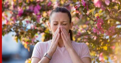 Москвичей предупредили о всплесках аллергии до конца лета