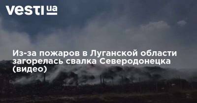 Из-за пожаров в Луганской области загорелась свалка Северодонецка (видео)