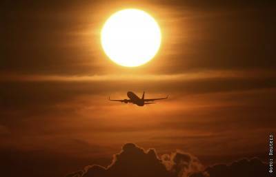 Переговоры о возобновлении международного авиасообщения в РФ начнутся 15 июля
