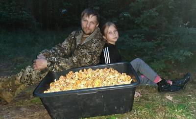 Грибной сезон в самом разгаре. В Светлогорске семья собрала 90 литров лисичек всего за 3,5 часа