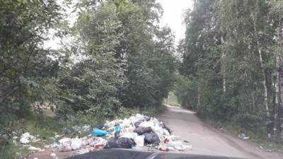 Петербуржец ищет единомышленников для сбора мусора в городе и области