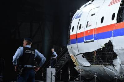 Нидерланды подадут иск против России в ЕСПЧ в связи с крушением рейса МН17