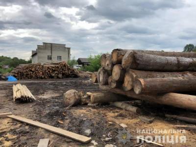 Наводнение на западе Украины. В Ивано-Франковской области провели 14 обысков из-за незаконной вырубки леса