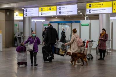 Аэропорты «Шереметьево» и «Внуково» готовы к возобновлению международных рейсов