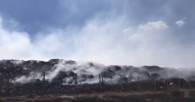 В Северодонецке из-за лесного пожара загорелась городская свалка