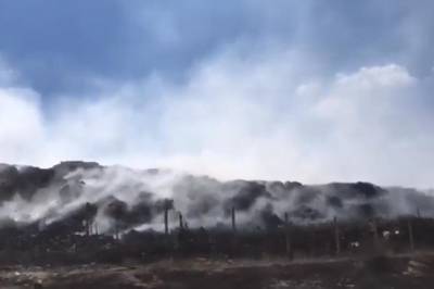 В Северодонецке в результате лесного пожара произошло возгорание свалки
