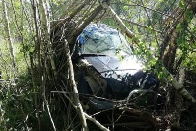 В Починковском районе водитель погиб, врезавшись в дерево