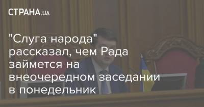 "Слуга народа" рассказал, чем Рада займется на внеочередном заседании в понедельник