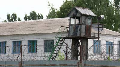«Боимся здесь жить». Воронежских сельчан напугало соседство с центром для заключённых