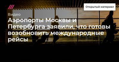 Аэропорты Москвы и Петербурга заявили, что готовы возобновить международные рейсы