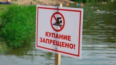 "Хочу купаться!". Почему петербургские водоёмы снова признали непригодными для плавания