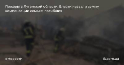 Пожары в Луганской области. Власти назвали сумму компенсации семьям погибших