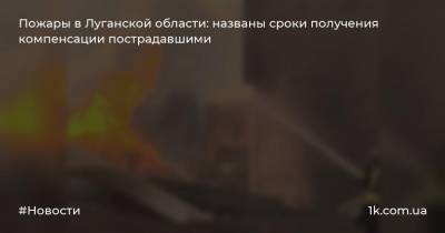 Пожары в Луганской области: названы сроки получения компенсации пострадавшими