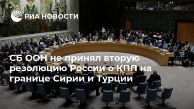 СБ ООН не принял вторую резолюцию России о КПП на границе Сирии и Турции