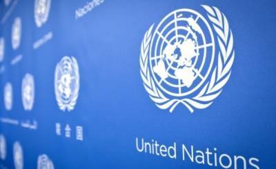 Россия и КНР вновь наложили вето на резолюцию СБ ООН по гуманитарной помощи Сирии