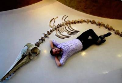 В США нашли скелет древнего хищного дельфина