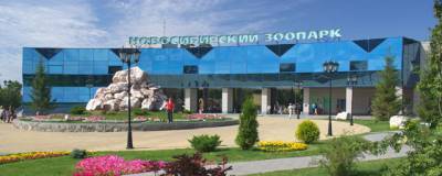 В Новосибирском зоопарке снова открылись билетные кассы