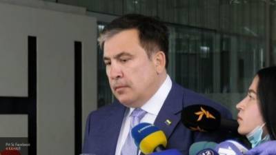 Украина прокомментировала заявление Саакашвили о действующем руководстве Грузии