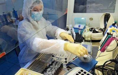 Названы объемы тестирования на коронавирус в России