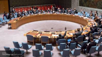 СБ ООН в ходе голосования отклонил российскую резолюцию о гуманитарной помощи Сирии