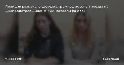 Полиция разыскала девушек, громивших вагон поезда на Днепропетровщине: как их наказали (видео)