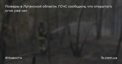 Пожары в Луганской области. ГСЧС сообщила, что открытого огня уже нет