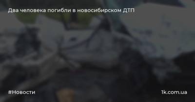 Два человека погибли в новосибирском ДТП