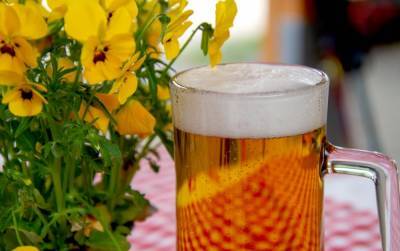 Очередной всплеск спроса на пиво наблюдается в Воронеже