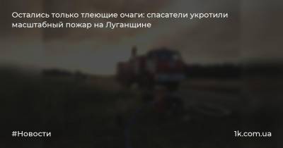 Остались только тлеющие очаги: спасатели укротили масштабный пожар на Луганщине
