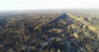 Пожар в Луганской области: спасатели продолжают тушить три ячейки, где тлеет древесина