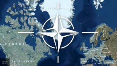 Марков связал арктические учения НАТО с антироссийскими настроениями