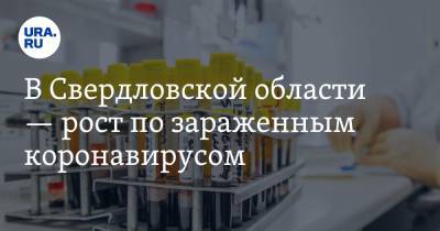 В Свердловской области — рост по зараженным коронавирусом. Картину портит Первоуральск
