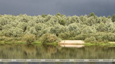 Оранжевый уровень опасности объявлен 12 июля по юго-востоку Беларуси из-за гроз и сильных дождей