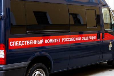 Пулевым ранением девочки из Тверской области заинтересовались следователи