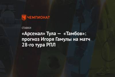 «Арсенал» Тула — «Тамбов»: прогноз Игоря Гамулы на матч 28-го тура РПЛ