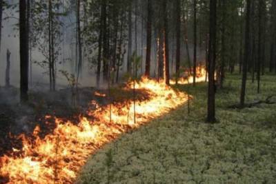 В Херсонской области за сутки спасатели ликвидировали 18 пожаров