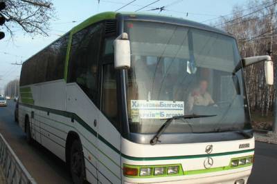 Террористы «ЛДНР» организовали автобусное сообщение с Украиной