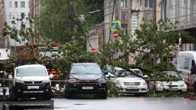 Штормовое предупреждение объявили в Томской области
