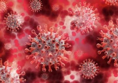 У рязанцев стали в два раза чаще выявлять антитела к коронавирусу