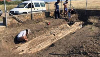 В Греции обнаружили останки дерева возрастом в десятки миллионов лет - Cursorinfo: главные новости Израиля