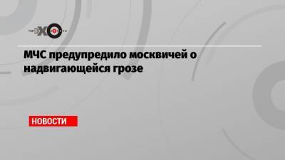 МЧС предупредило москвичей о надвигающейся грозе