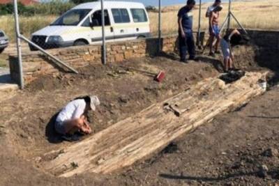 В Греции археологи нашли дерево, которому около 20 млн лет