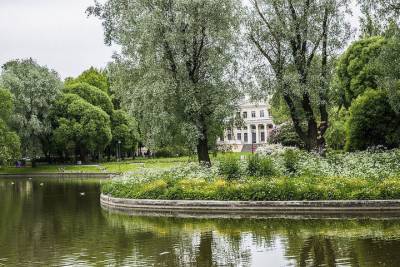 Сады и парки Петербурга закрыли из-за сильного ветра